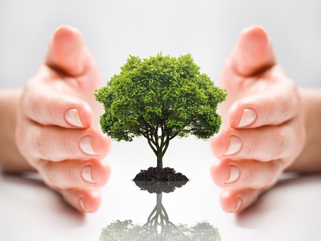 save tree conceptの写真素材