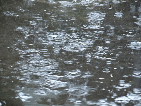 rain drops