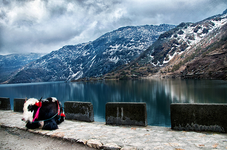 Tsongmo lake sikkim indiaの写真素材