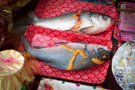 indian wedding ritual holy fish        の写真素材