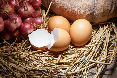 Eggs on straw with still lifeの写真素材
