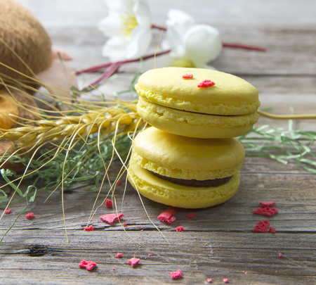 Macaroon on the wooden floorの写真素材