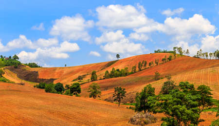 The view at the  mountain in Thailand in the summer and dry seasonの写真素材