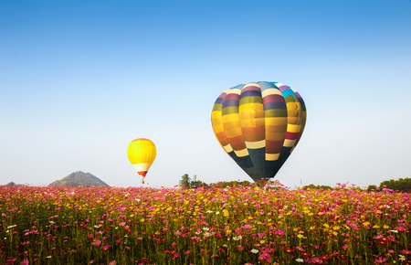Colorful hot air balloons flying over the flower gardenの写真素材