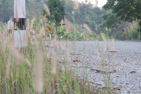 rural roadsstreetの写真素材