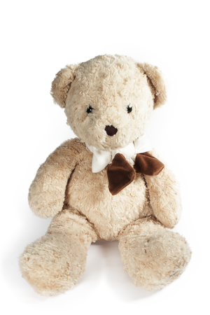 Teddy bear on white background.の写真素材