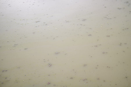 background of dirty water in the lake after the rain