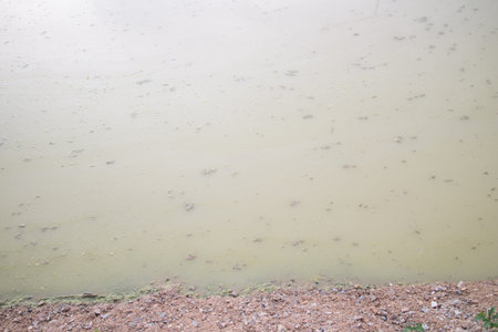 background of dirty water in the lake after the rainの写真素材