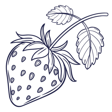 Strawberry icon. Outline illustration of strawberry vector icon for webのイラスト素材