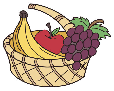 Basket with fruits. Vector illustration in doodle style.のイラスト素材
