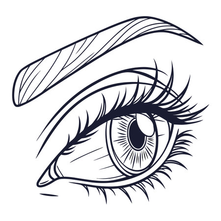 Eye with long eyelashes. Vector illustration of eye with long eyelashes.のイラスト素材