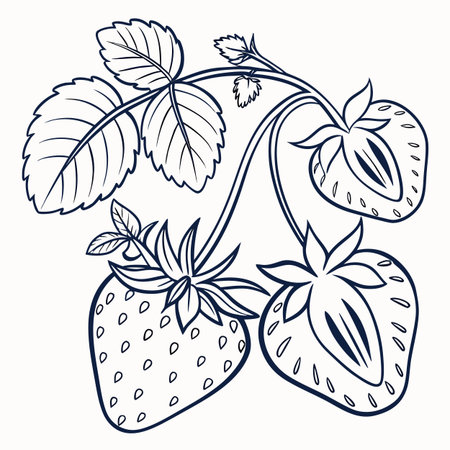 Strawberry branch with berries and leaves. Hand drawn vector illustration.のイラスト素材