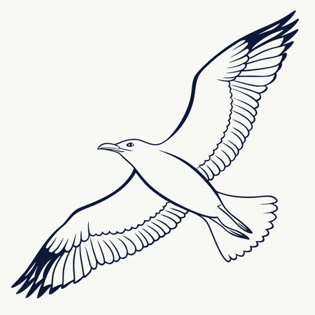 Flying seagull. Vector illustration of a flying seagull.のイラスト素材