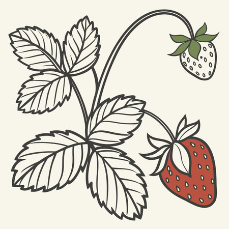 Strawberry branch with berries and leaves. Hand drawn vector illustration.のイラスト素材