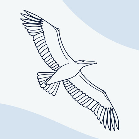 seagull icon design, vector illustration eps10 graphic.のイラスト素材