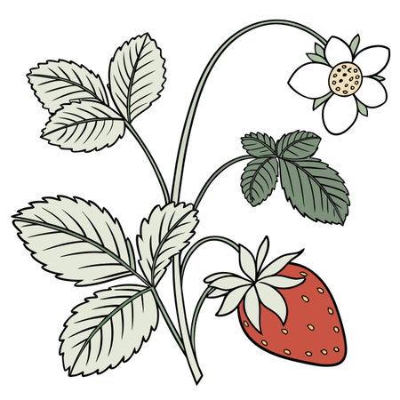 Strawberry branch with berries and leaves. Hand drawn vector illustration.のイラスト素材