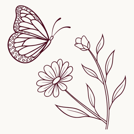 butterfly design over white background vector illustration   vector illustrationのイラスト素材