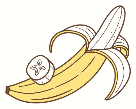 banana fruit icon over white background, colorful design. vector illustrationのイラスト素材