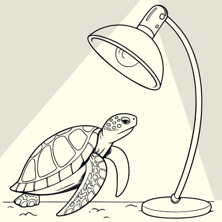 illustration of a turtle and a lamp on a light background.のイラスト素材