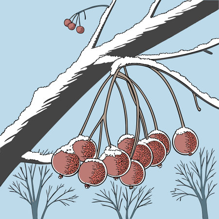 Cable car on the ski slope in the mountains. Vector illustrationのイラスト素材