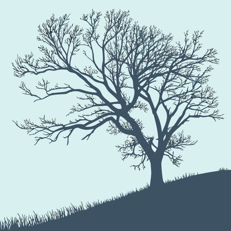 Silhouette of tree on blue background. Vector illustration EPS10のイラスト素材