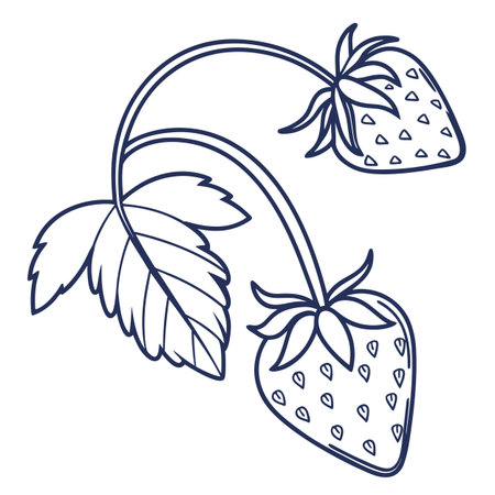 Strawberry icon. Outline illustration of strawberry vector icon for webのイラスト素材