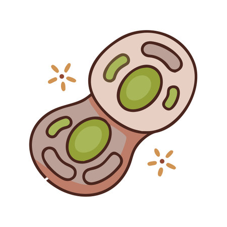 Spa massage tool icon. Flat illustration of spa massage tool vector icon for webのイラスト素材