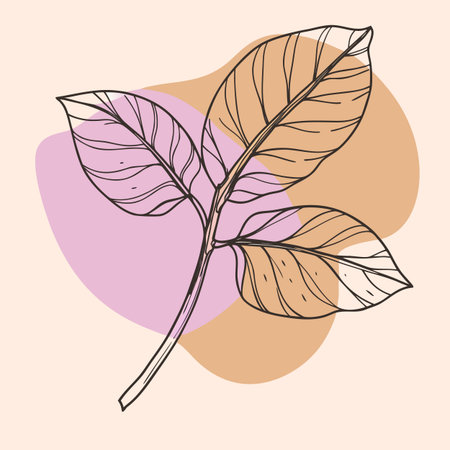Leaf design, vector illustration eps 10. Floral background.のイラスト素材