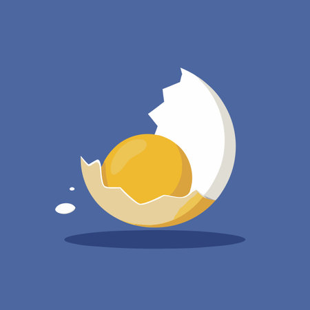 Broken egg icon. Flat design. Vector illustration. Eps 10のイラスト素材