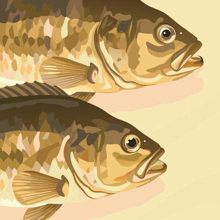 Two fresh fish on a beige background. Vector illustration in flat style.のイラスト素材