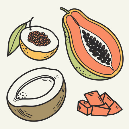 Set of hand drawn fruits, papaya and coconut. Vector illustration.のイラスト素材