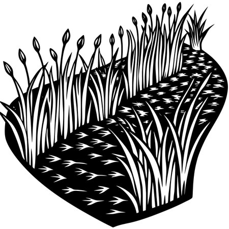 Garden Grass.Vector illustration ready for vinyl cutting on white background.のイラスト素材