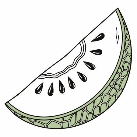 A simple, hand-drawn illustration of a triangular slice of watermelon, showing the white rind, pink...