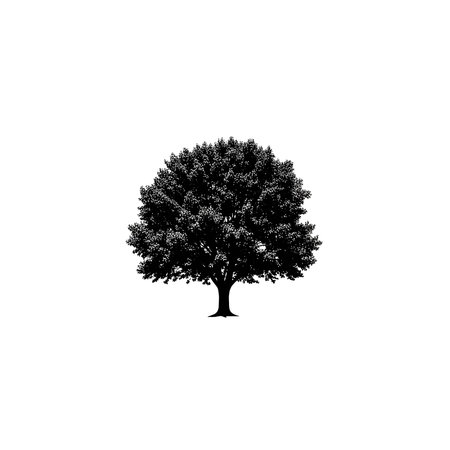 A detailed black and white illustration of a tree with a full canopy and a single trunk, showcasing...
