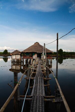 homestey in Mangrove forestのeditorial素材