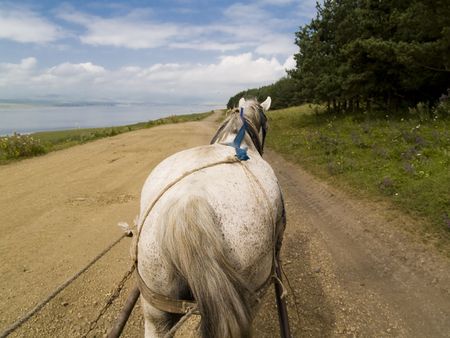 White horse cart on the sandy rural path in Georgia, Caucasusの写真素材