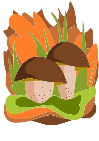 Two big and beauty edible mushrooms のイラスト素材