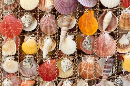 Beauty colorful shells background. Montenegro. Summery day.の写真素材
