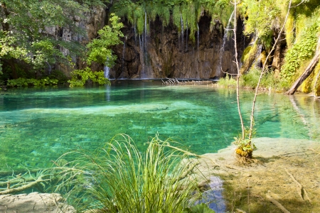 Clean water on the Plitvice Lakes - Croatia, Europe の写真素材