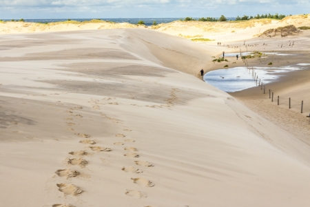 Dunes in National Park - Leba, north part of Poland の写真素材