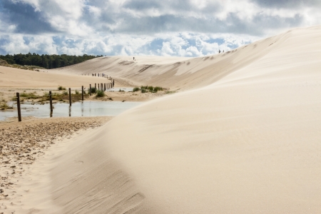 View on big dunes in Leba - National Park, Poland.の写真素材