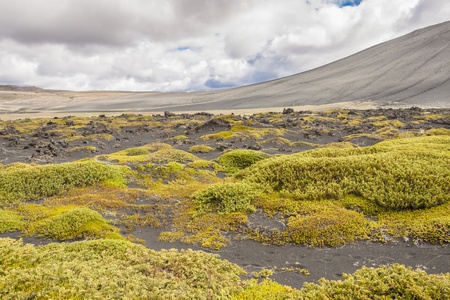 Volcanic landscape in Myvatn area - Iceland Sunny summer day の写真素材