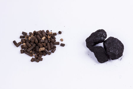 Coal and biomass pellet on white background.