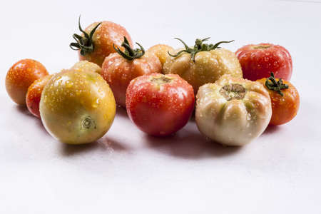 Red tomatoes on white background.の写真素材