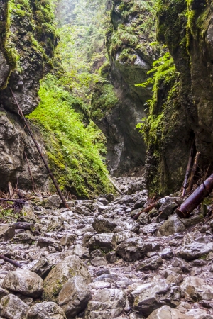 Ravine Cracow - Tatra National Park, Poland の写真素材
