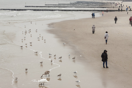 Sandy beach - winter time, Kolobrzeg, Poland.のeditorial素材
