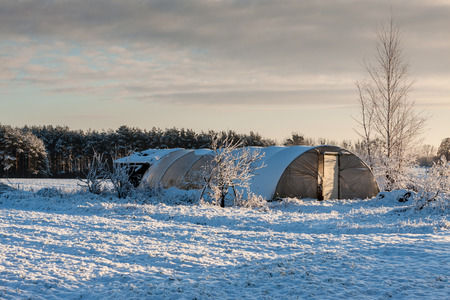 Polish rural landscape on winter time.の写真素材