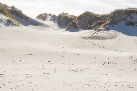 Sandy beach - Holmsland Klit, Denamrk, Europe.の写真素材