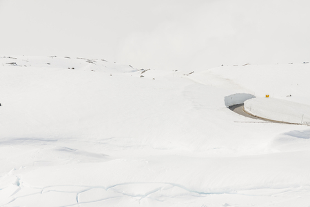 Sognefjellet road to highest pass in Norway.の写真素材