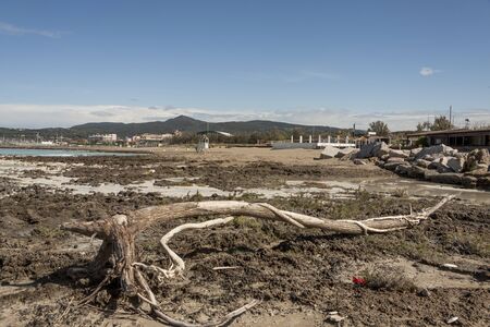 Rosignano (near Vada), white beach in Italy, Toscany.の写真素材
